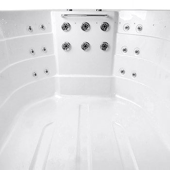 Spa One and the swim spa Beluga by Canadian Spa International